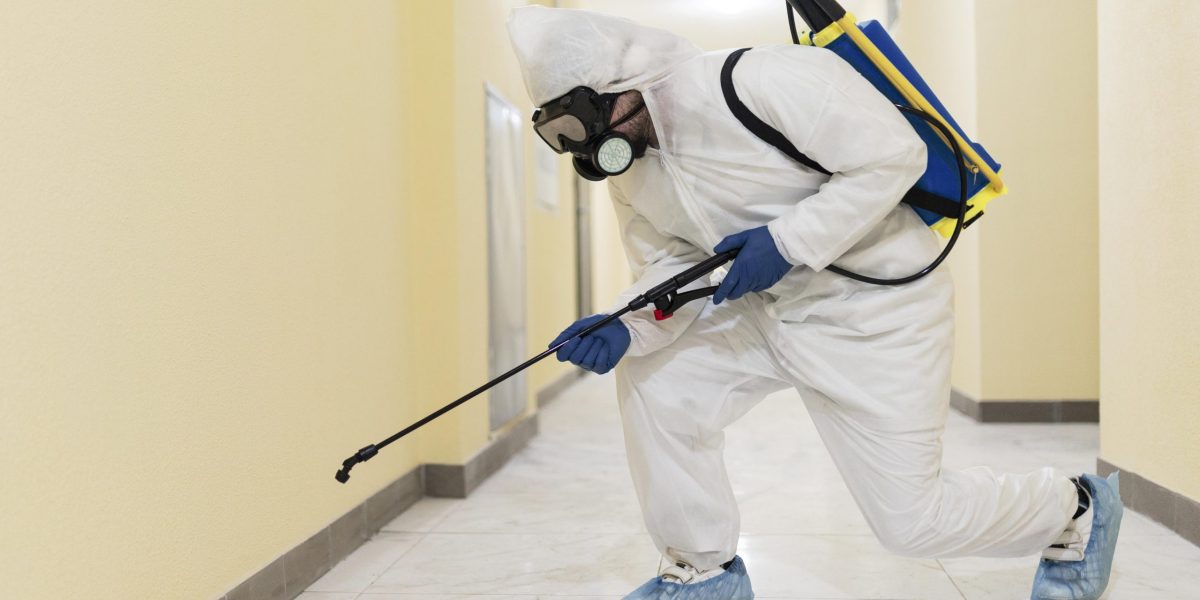 After pest control treatment, what are the reasons for the increased pest activity?