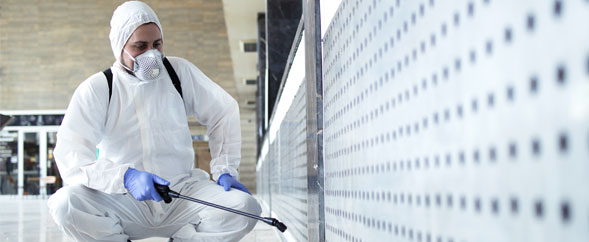 pest control solution